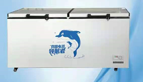 臥式冷柜 臥式冰柜 臥式冷凍柜（QT-JC）